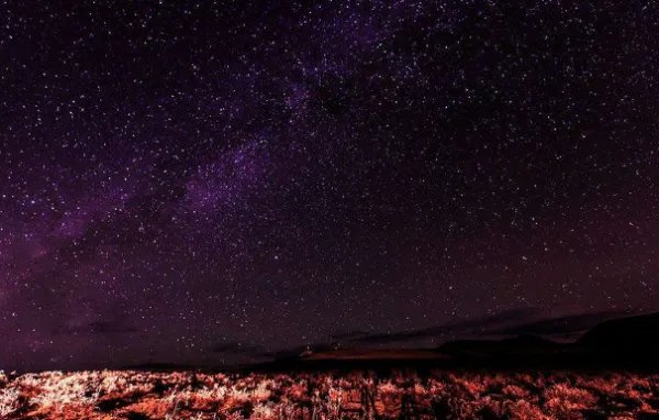 《仰望星空》这首歌的歌词是什么?
