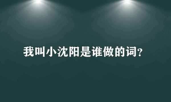 我叫小沈阳是谁做的词？