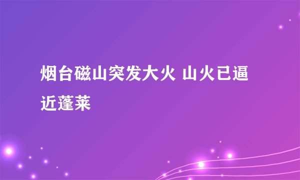 烟台磁山突发大火 山火已逼近蓬莱
