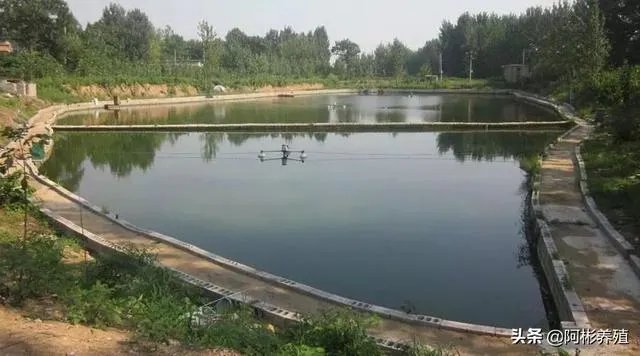 农村鱼塘增8亩，鱼塘用多大的增氧机比较好，该注意些什么？叶轮式增氧用多大的？