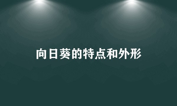 向日葵的特点和外形