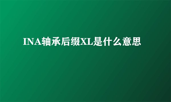 INA轴承后缀XL是什么意思
