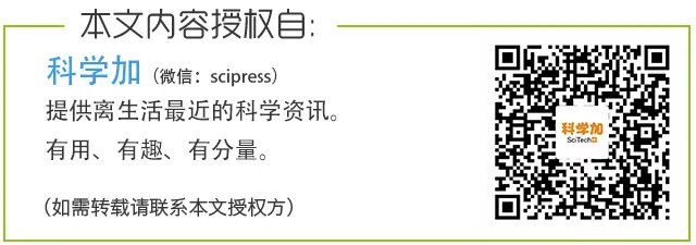 刷屏的“左右脑年龄测试”原来是骗人的!左右脑理论和你想的不一样