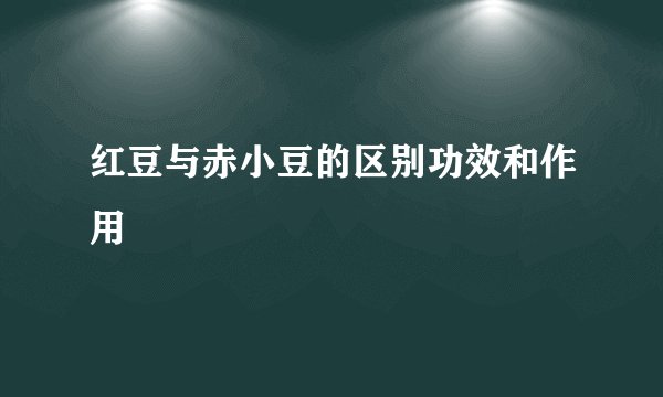 红豆与赤小豆的区别功效和作用