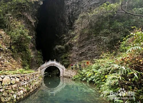 张家界牛管家