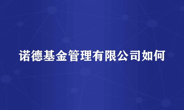 诺德基金管理有限公司如何