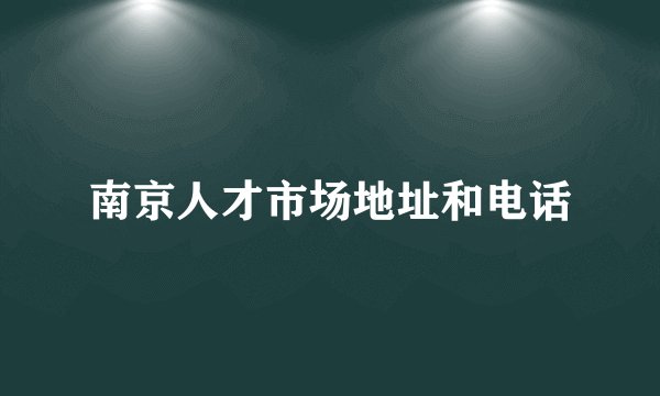 南京人才市场地址和电话