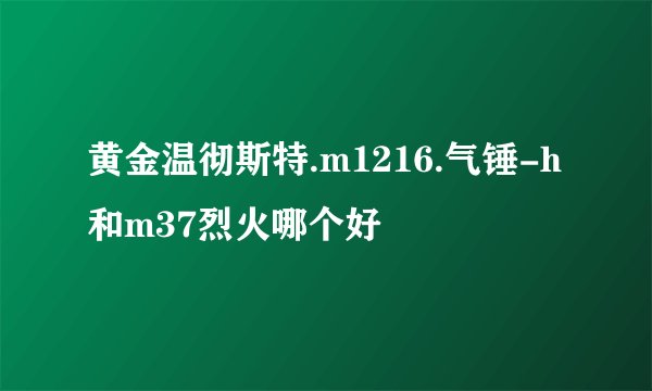 黄金温彻斯特.m1216.气锤-h和m37烈火哪个好