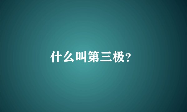 什么叫第三极？
