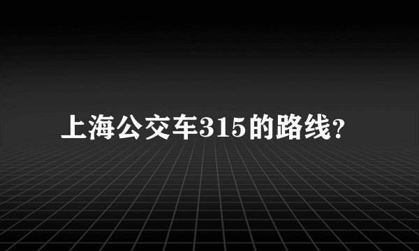 上海公交车315的路线?