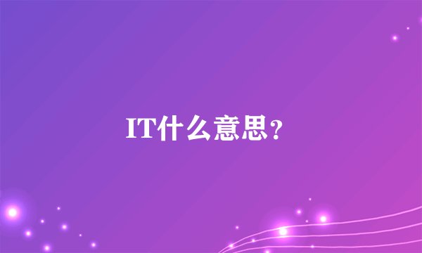 IT什么意思？