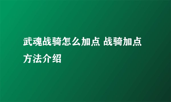 武魂战骑怎么加点 战骑加点方法介绍
