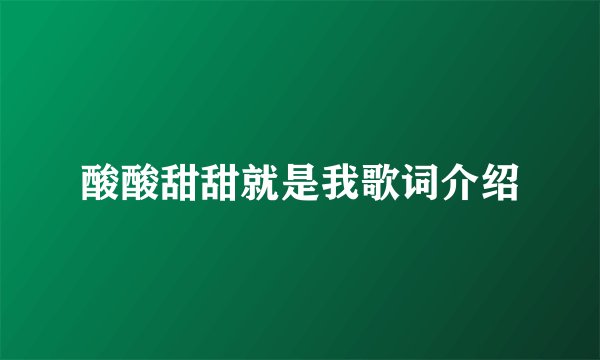酸酸甜甜就是我歌词介绍