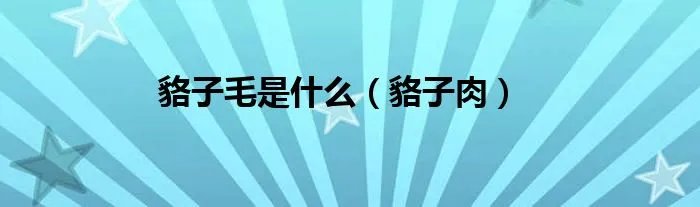 貉子毛是什么（貉子肉）