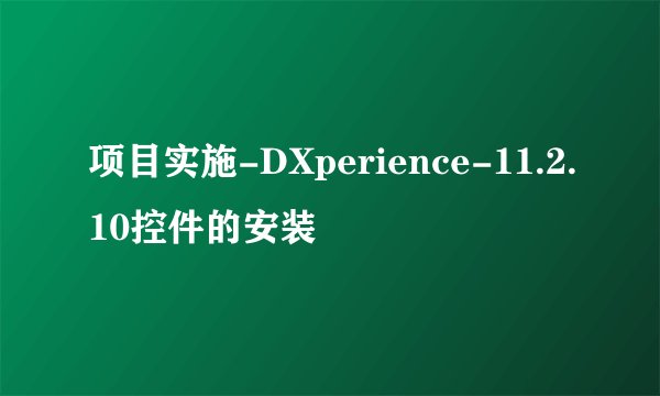 项目实施-DXperience-11.2.10控件的安装