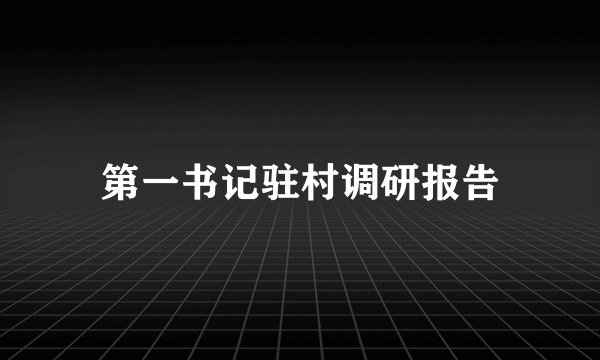 第一书记驻村调研报告