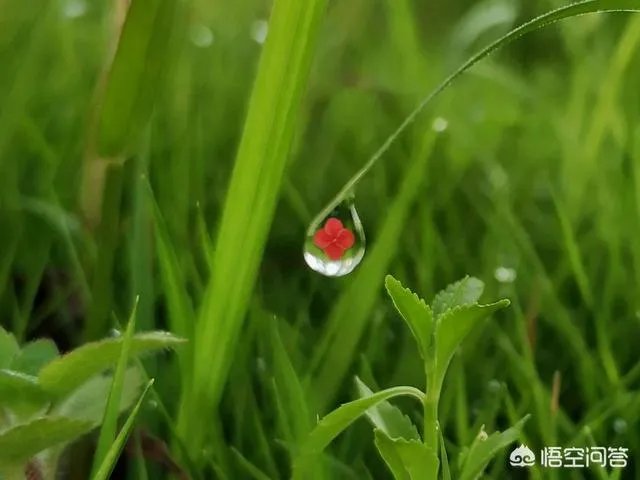 阴雨天如何拍出好照片？