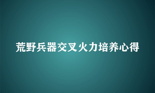 荒野兵器交叉火力培养心得