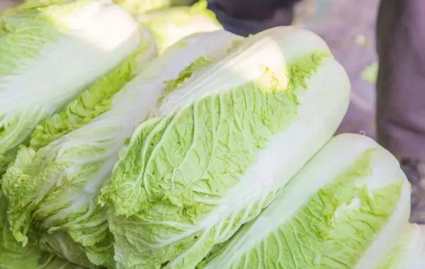 韩国的一棵白菜卖近25元,你如何看待这件事?