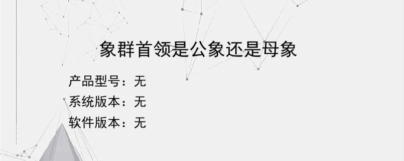 象群首领是公象还是母象？