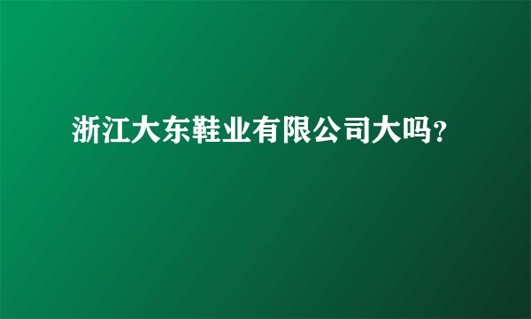 浙江大东鞋业有限公司大吗？