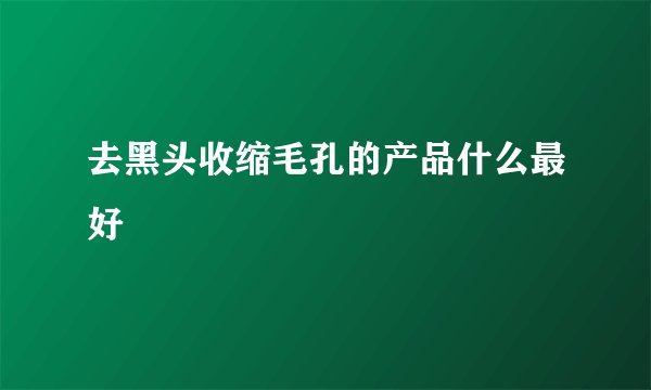去黑头收缩毛孔的产品什么最好