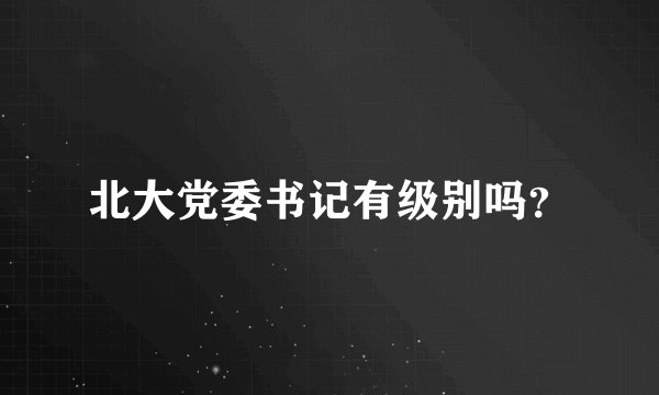 北大党委书记有级别吗？