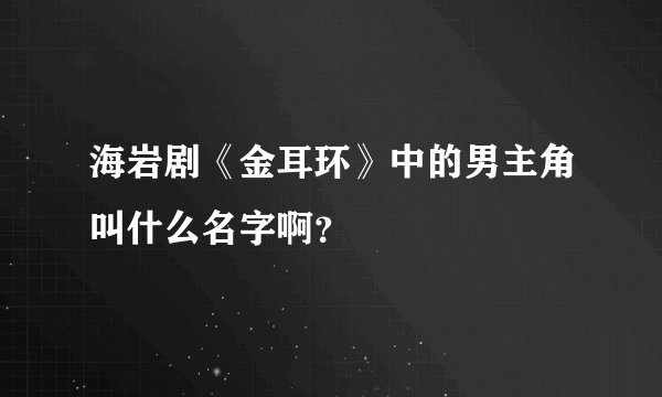 海岩剧《金耳环》中的男主角叫什么名字啊?