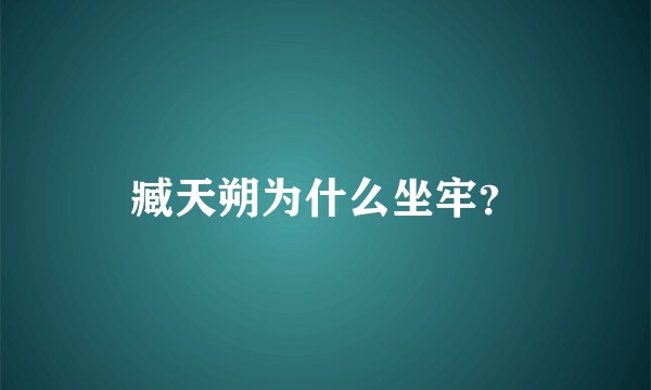 臧天朔为什么坐牢?