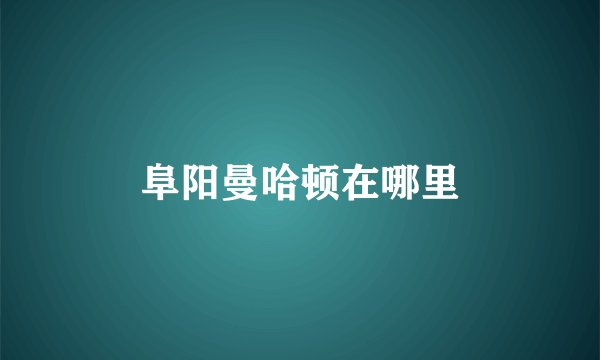 阜阳曼哈顿在哪里