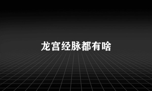 龙宫经脉都有啥