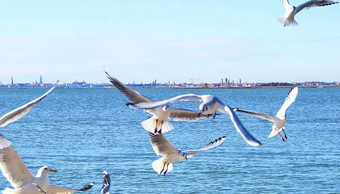 昆明旅游攻略 昆明旅游攻略景点大全