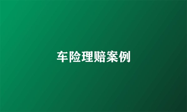 车险理赔案例