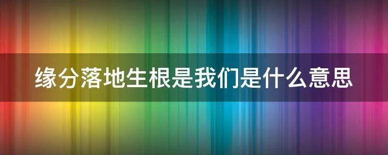 缘分落地生根是我们是什么意思