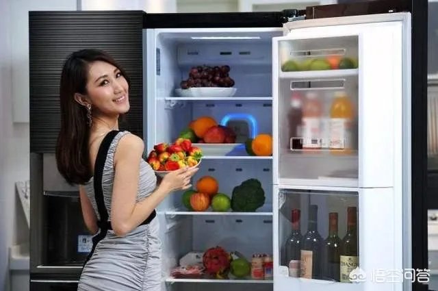 冰箱买什么品牌的好?