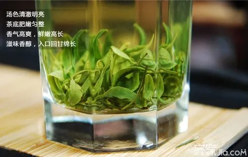 云雾茶怎么泡 云雾茶的冲泡方法