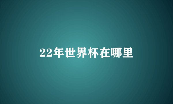 22年世界杯在哪里