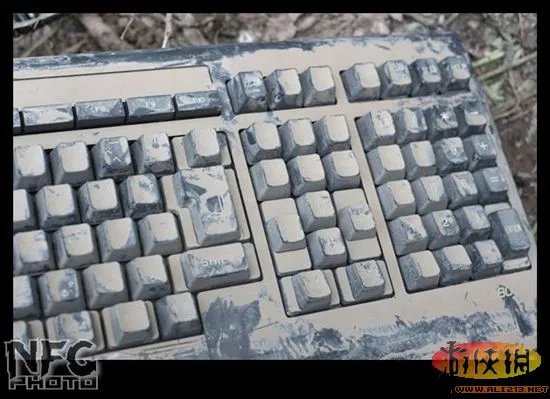 百年洪水来袭 澳洲玩家藏品惨遭洪水蹂躏(图)