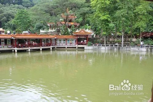 深圳仙湖植物园旅游攻略