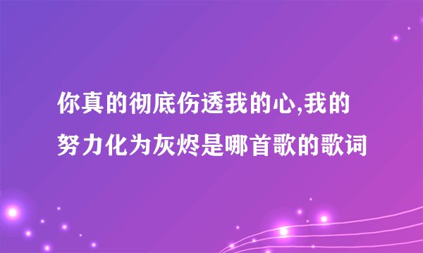 你真的彻底伤透我的心,我的努力化为灰烬是哪首歌的歌词