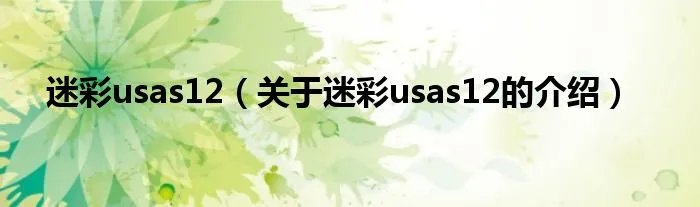 迷彩usas12（关于迷彩usas12的介绍）