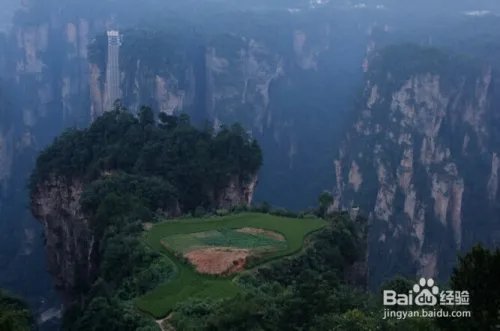 张家界牛管家