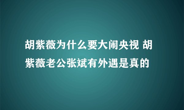 胡紫薇为什么要大闹央视 胡紫薇老公张斌有外遇是真的