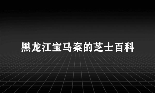 黑龙江宝马案的芝士百科