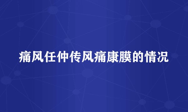 痛风任仲传风痛康膜的情况