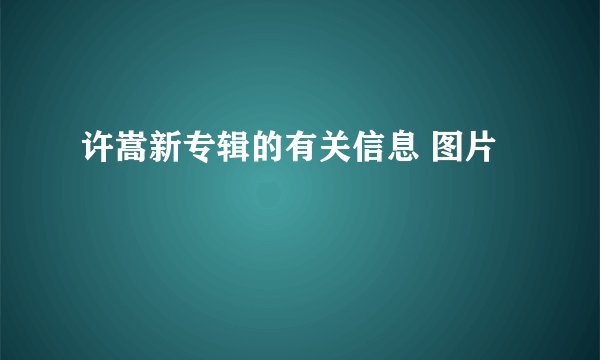 许嵩新专辑的有关信息 图片