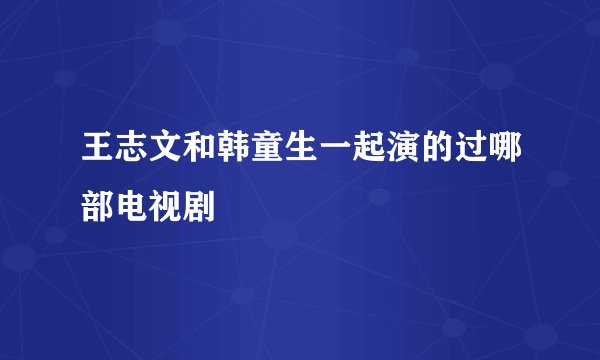 王志文和韩童生一起演的过哪部电视剧
