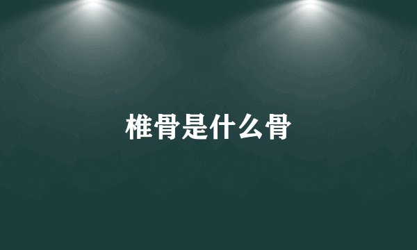 椎骨是什么骨