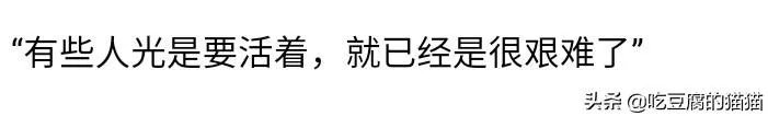 张新龙演的电视剧?