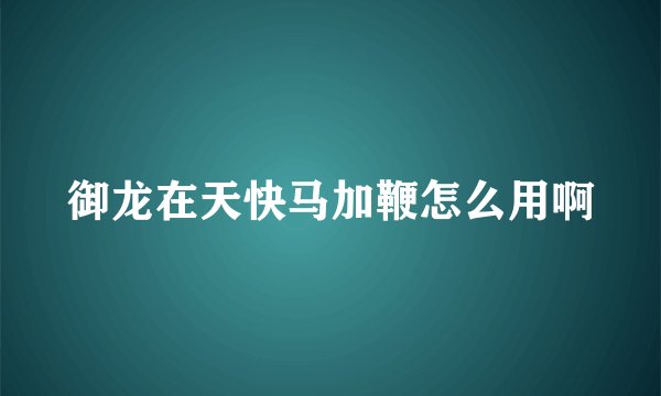御龙在天快马加鞭怎么用啊